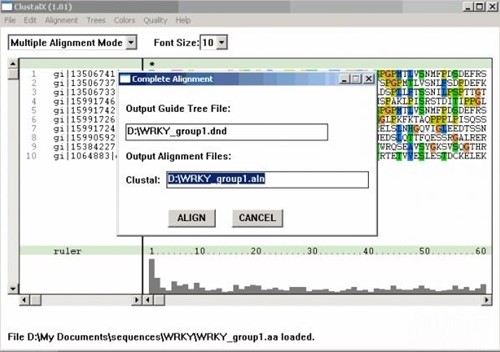 �����бȌ�����clustalx���d���b