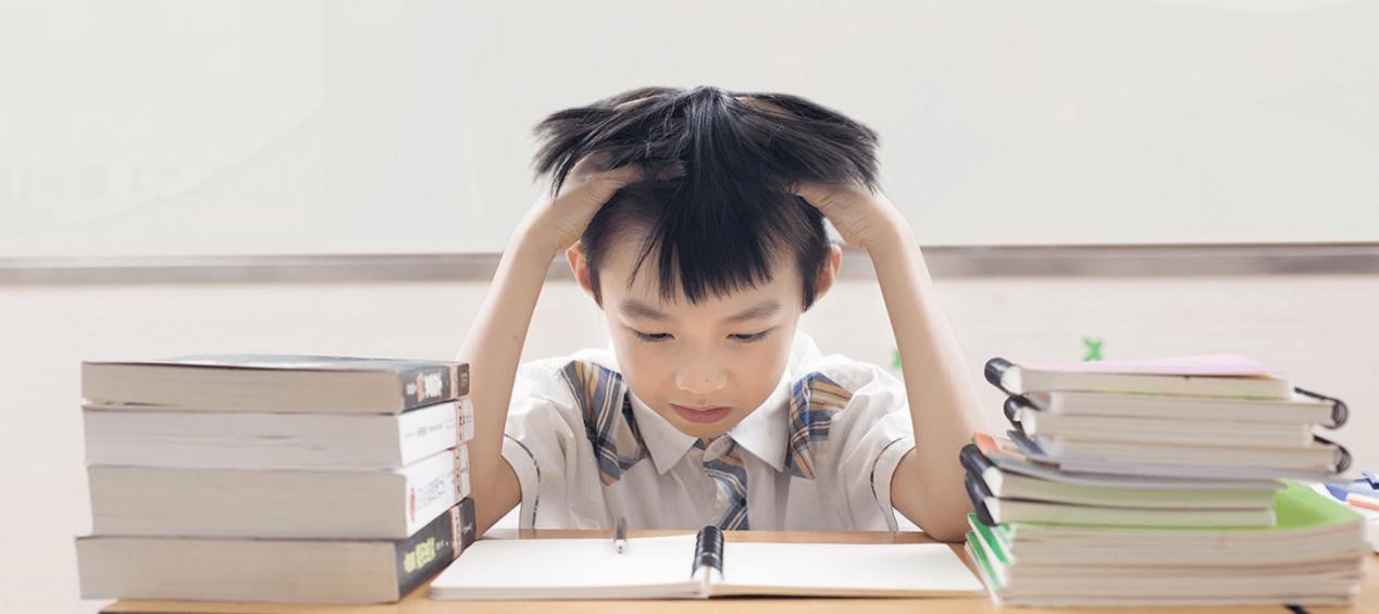 ؂���n���@��ֱ���n�̵ČW(xu��)��(x��)ܛ������֪���᣿