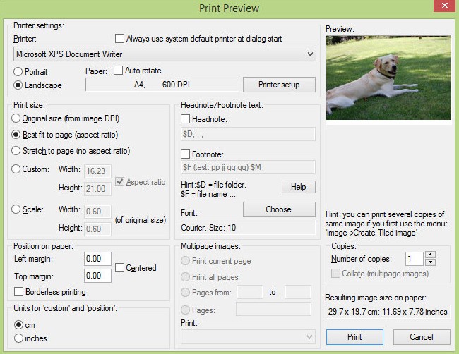 �D��鿴��݋��IrfanView�ٷ����d
