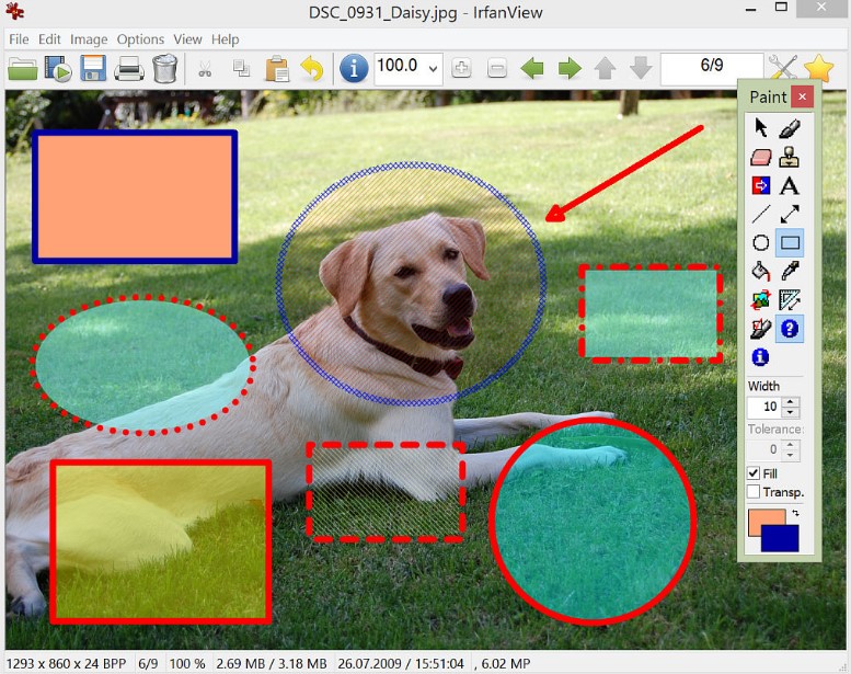�D��鿴��݋��IrfanView�ٷ����d