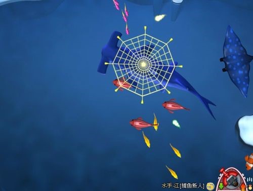 QQ���~����Α���