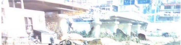 ʹ���ن�6�F����2�Α���