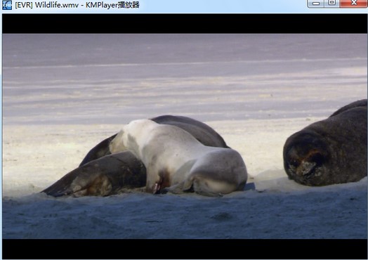 Kmplayer�f�ܲ��������b�̳�