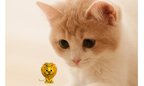 ��Ȥ�ֿɐ۵�����ܛ������С�{�����dʹ��