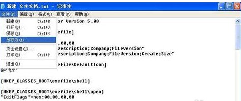 exe�ļ��o�����_���P�ļ���ô�k��