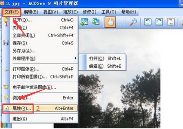 ���M��ACDSee9��y�����dʹ�ý�B