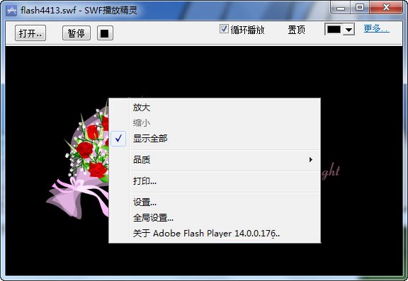 swf���ž��`�ٷ��氲�bʹ��