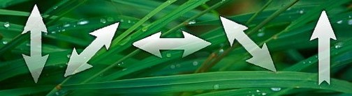 Crystal Clearʹ�ý�B