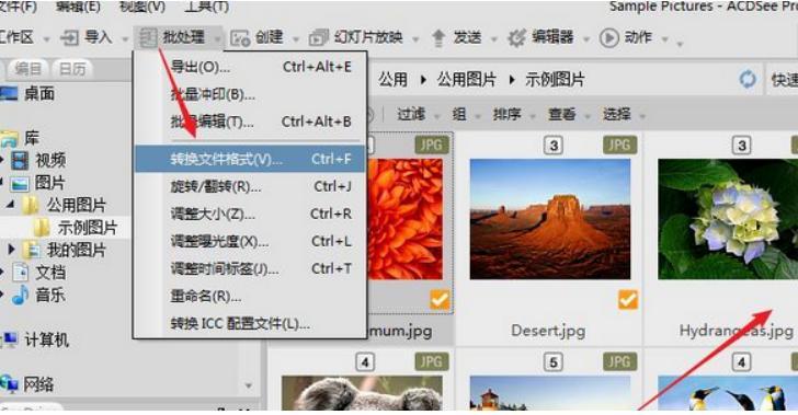 ʹ��acdsee�M�о�݋�DƬ��Ԕ�����E