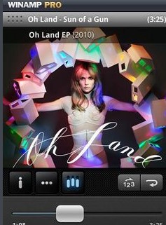 Winamp�����������������c��B