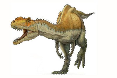 Photoshop CS4���DƬ���뱳������