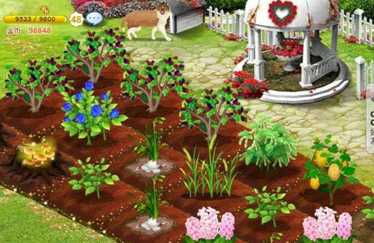 QQ�r(n��ng)������B