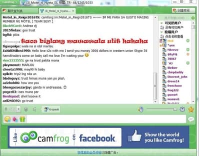 �����Ї����İ泣Ҋ���}��������ɫ��B