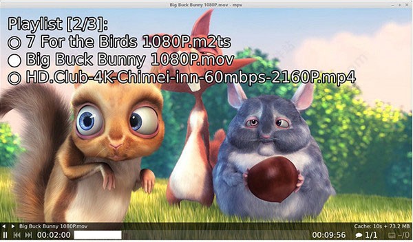 mpv��������MPV-EASY&ensp;Player��ʹ�ý�B