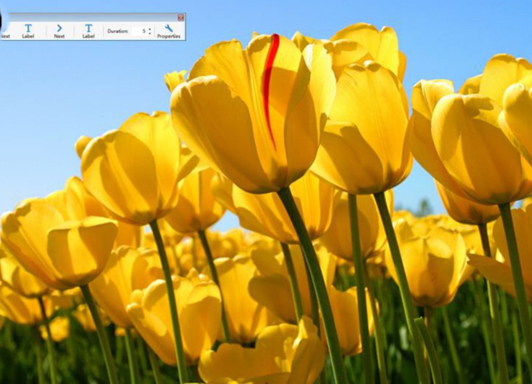 Screensaver��������ʹ���f��