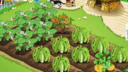 qq�r�����ܛ�����d��QQ�r���o�����_��Q����