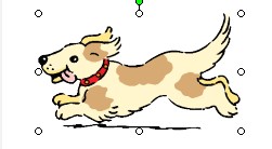 RonyaSoft Poster Designer�������֡����N���̌W