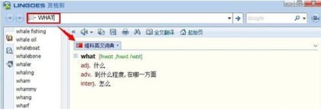 Lingoes���`��˹�~�ԣ�ʹ�÷���