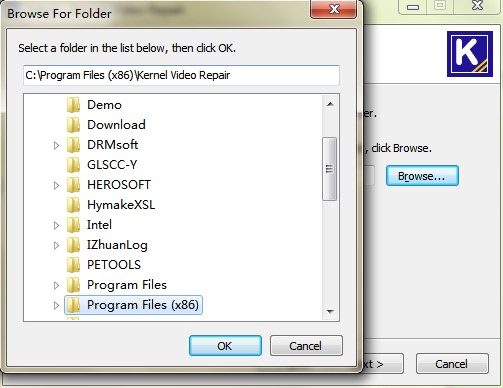 Kernel Video Repair���b���E