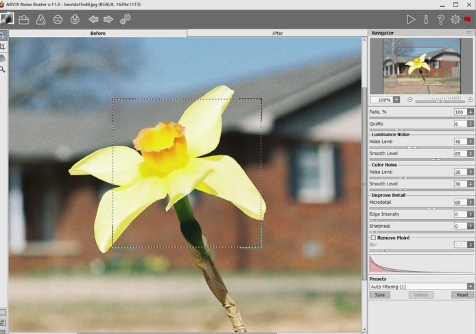 AKVIS Noise Buster���d�������D�Ľ�B