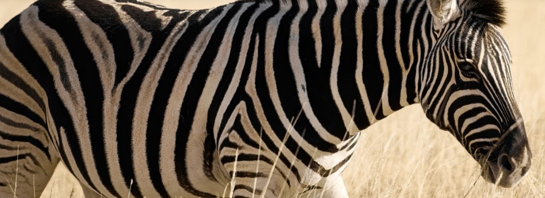 Topaz Sharpen�J��̎�����߹������c��B