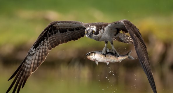 Topaz Sharpen�J��̎�����߹������c��B