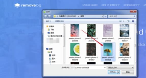 Removebg���M�ƽ��ܛ����ɫ�����D�̳�