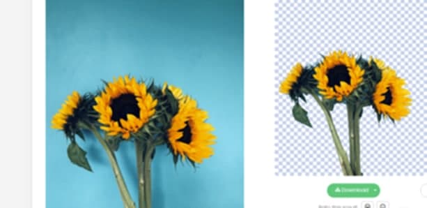 Removebg���M�ƽ��ܛ����ɫ�����D�̳�