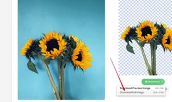 Removebg���M�ƽ��ܛ����ɫ�����D�̳�