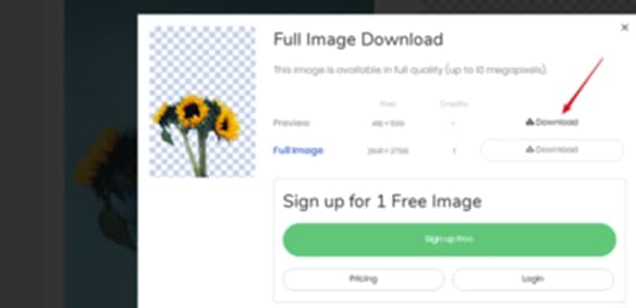 Removebg���M�ƽ��ܛ����ɫ�����D�̳�