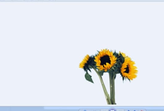 Removebg���M�ƽ��ܛ����ɫ�����D�̳�