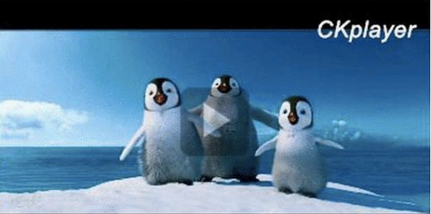 F4V���������ܺ�ʹ���f��