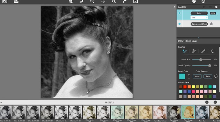 Hand Tint Pro�͹���Ƭ�����̌W