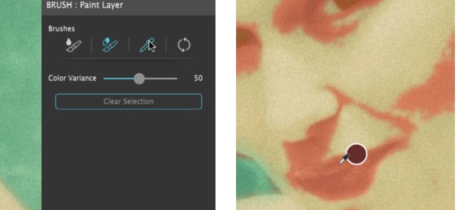 Hand Tint Pro�͹���Ƭ�����̌W