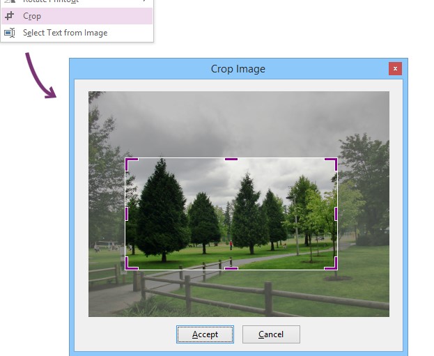 Onetastic�Զ��x��ʽ�޸ĈD�Ľ̌W