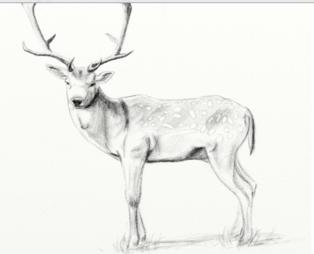 Artrage�ٷ����d�U�P���߹������c��B