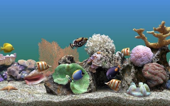 ���~Ӱ��ܛ�������cԔ����B