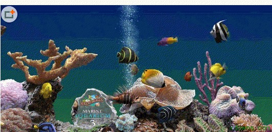 �D���ӑB�~��Ļ���o