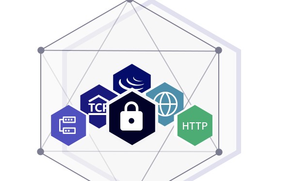 �D��������DDOS������