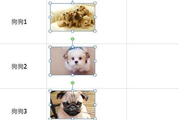 Excel��ô������(d��o)��DƬ