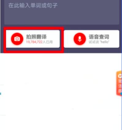 �D���W���е��~��