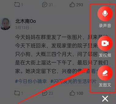 ����M��W���������ƴ���w����