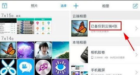 �D���vӍ���Թܼ�