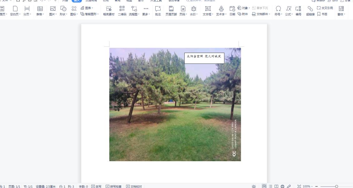 Word�ęn����ô�ڈDƬ����������