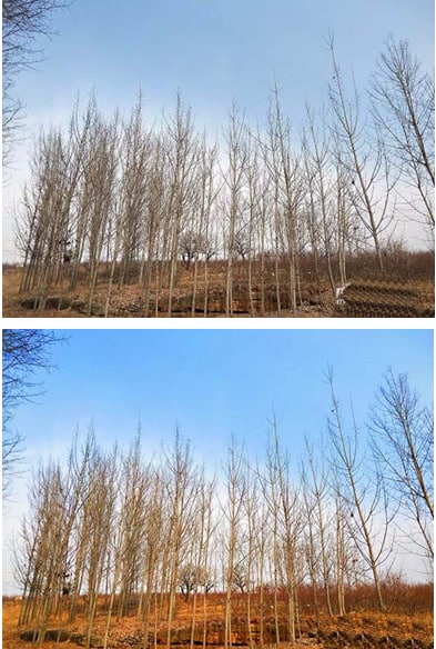 �D�����D����