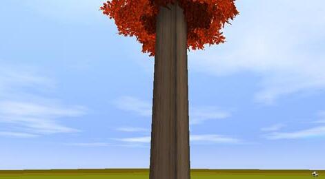 �D����������