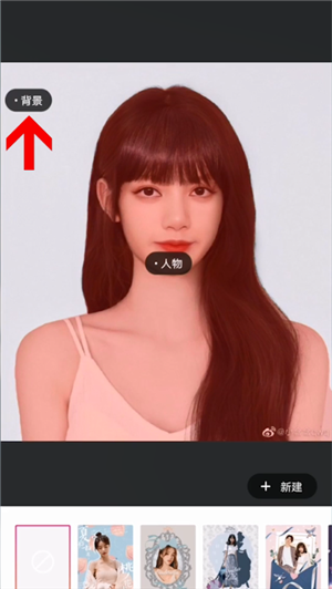 �D�����D������Q�DƬ�ĵ�ɫ�ķ���