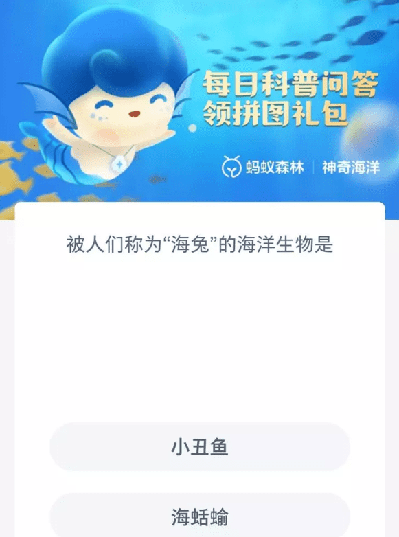 �D�����溣��8.25�������´�