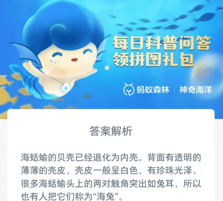 �D�����溣��8.25�������´�