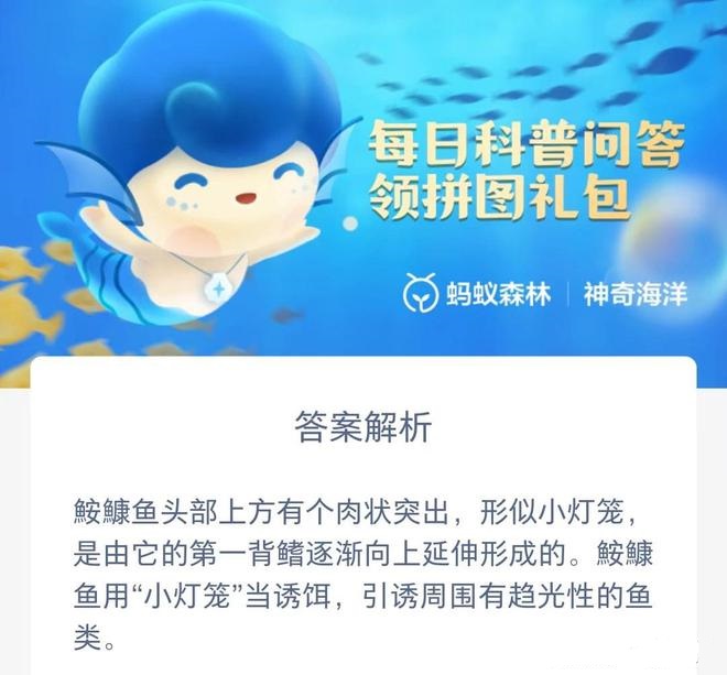 �D�����溣�����½��մ�8.26